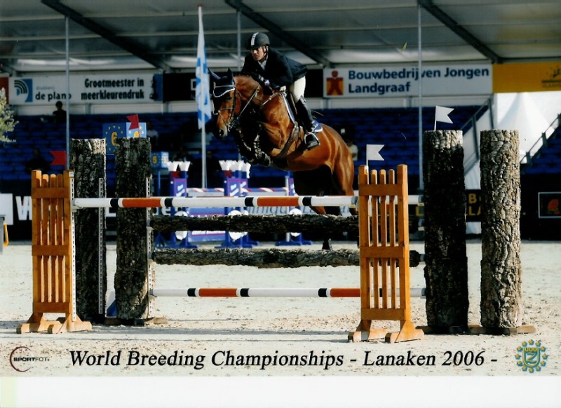 Walnut de Muze versterkt de internationale springstal Eurohorse & Stal De Dendrons